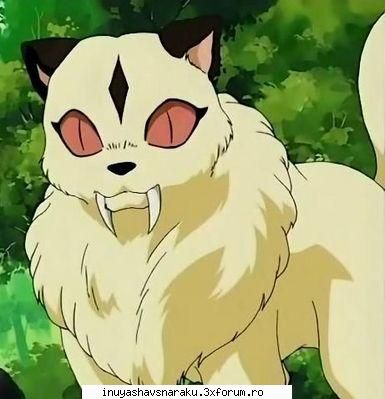 Kirara - Kirara chiar e foarte draguta! :D - Echipa Inuyasha