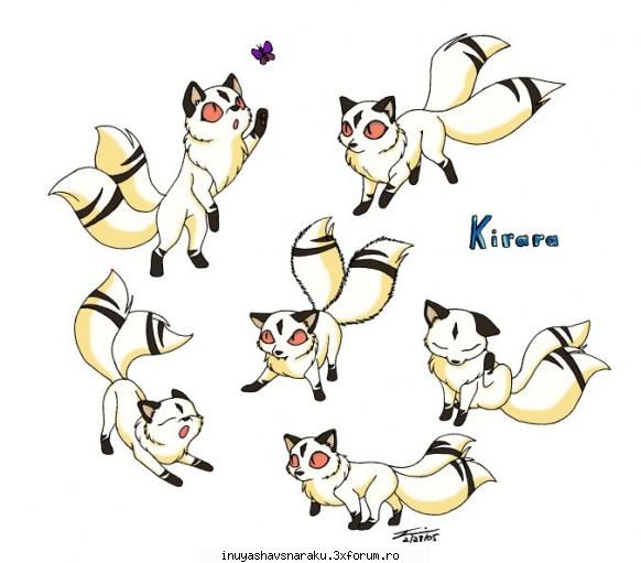 Kirara - chiar ca e draguta - Echipa Inuyasha