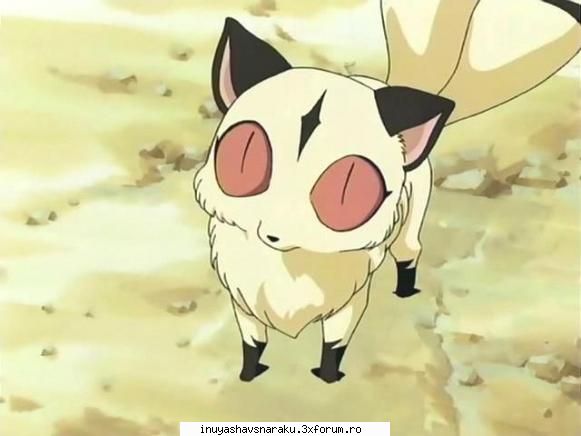Kirara - Too cute to be true - Echipa Inuyasha