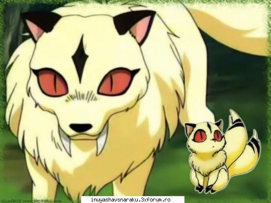 kirara is the best kitty... :zzz: kirara