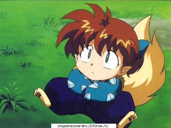 Shippo - E o vulpitza atat de jucausa numa sa nu o - Echipa Inuyasha